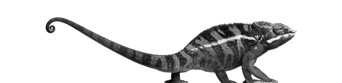 agencia de publicidad