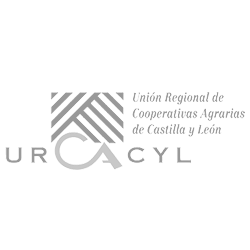 publicidad urcacyl