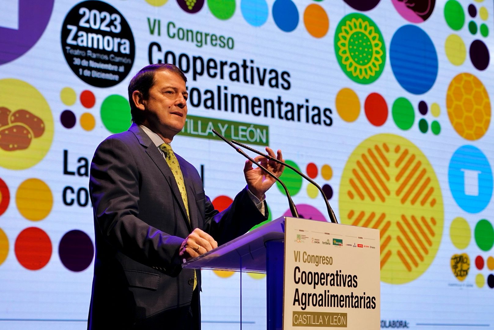 WhatsApp Image 2023-12-04 at 10.31.57