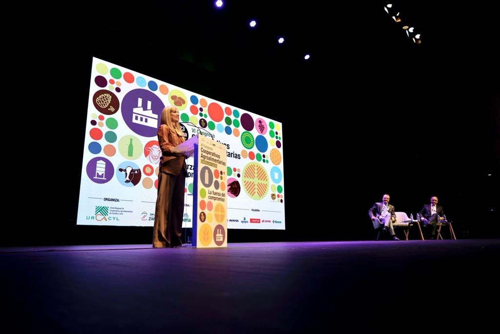 WhatsApp Image 2023-12-04 at 10.35.34